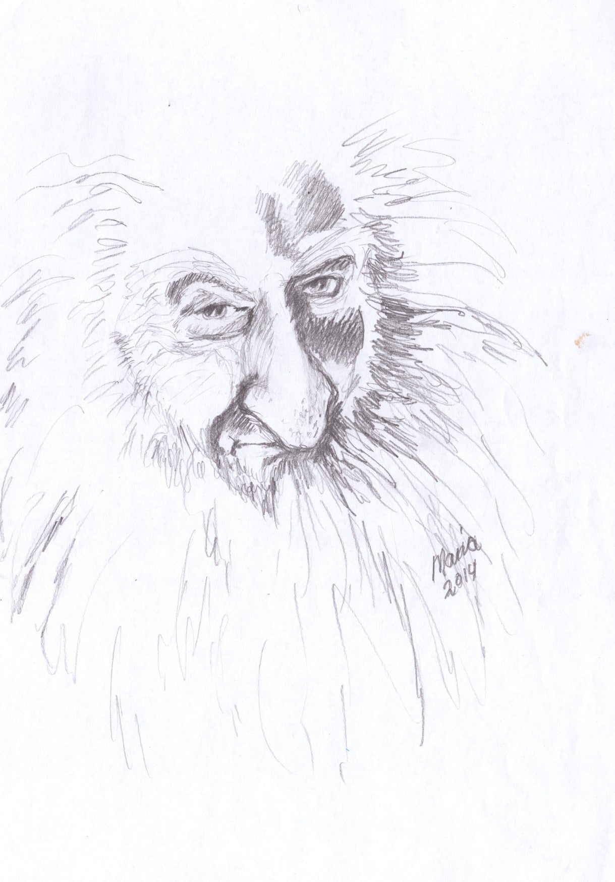 Pencil drawing of Ken Stott as Balin from The Hobbit, depicted in grayscale. The A4-sized artwork features a close-up of his face and large beard, capturing the character's detailed and expressive features.