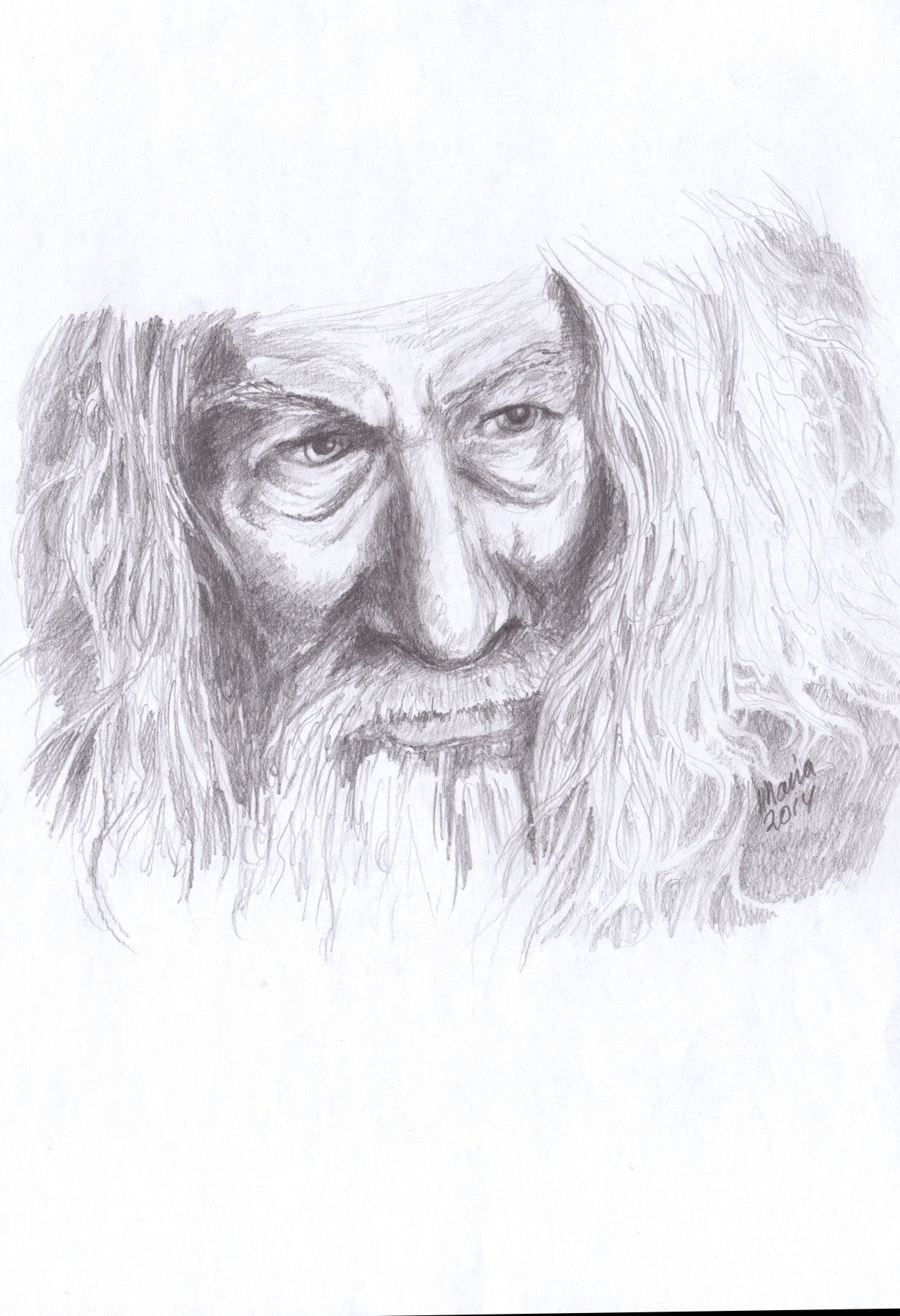 Pencil drawing of Ian McKellen as Gandalf from The Lord of the Rings, depicted in grayscale. The artwork features a close-up of his face and thick hair, capturing the character's detailed and expressive features. The artwork is A4 in size.