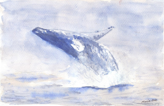 Watercolor painting of a blue whale jumping out of the water, positioned midway with its head toward the sea and belly toward the air. The artwork features soft blue hues contrasting against white, with visible water splashing. The artwork is A4 in size.