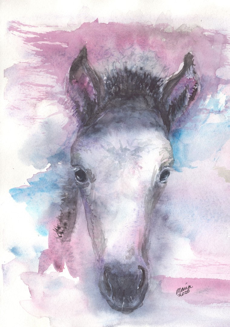 Watercolor painting of a pretty foal, depicted in soft colors with a close-up of its face. The foal has a dark mane, perky ears, and is primarily white. The colors used are a mix of pink, blue, black, and white, creating a delicate and gentle image. The artwork is A4 in size.