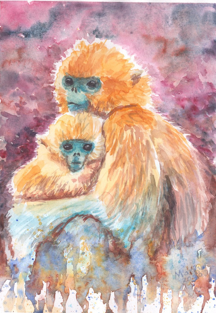 Watercolor painting of a golden snub-nosed monkey mother caressing her baby. The piece is vibrant, showcasing their golden fur, blue faces, deep dark eyes, and subtle smiles. The background is fluid, with red and black hues at the top, transitioning to green, blue, and brown hues at the bottom. Titled 'Happy Mother's Day,' the artwork celebrates all types of mothers in the world. The artwork is A4 in size.