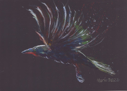 Gouache painting on black watercolor paper depicting a raven in mid-flight, shown in profile view. The bird is colored in soft shades of blue, green, white, and red, contrasting gently against the black background. The artwork is A4 in size.