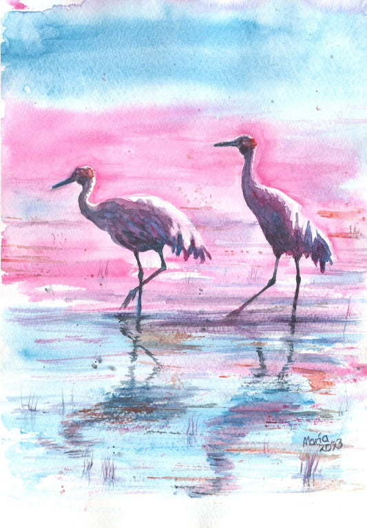 Watercolor painting of two Brolga cranes standing in shallow waters, shown in profile as they walk to the left. Their reflections are visible in the water. The colors are soft yet contrasting, with the birds depicted in brown with a pinkish hue, illuminated by sunlight on their backs. The background features a blend of pink and blue tones. The artwork is A4 in size.