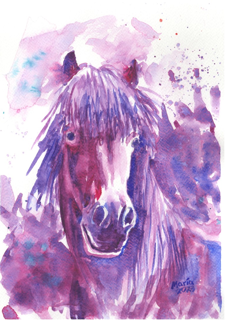 Watercolor painting of a friendly Icelandic horse, shown in a close-up of its head, rendered in dark, soft shades of purple and brown that gently contrast with the white paper. The artwork is A4-sized.