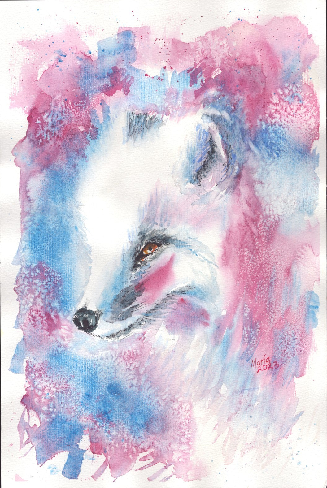 Watercolor painting of an Arctic fox, showing a close-up of its face as it looks to the left. The fox has fluffy white fur, brown eyes, a black nose, and a red brush stroke on its cheeks. The background features red, blue, and white hues. The artwork is slightly smaller than A3 in size.