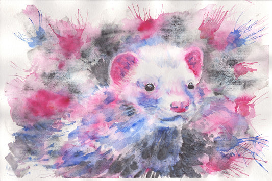 Watercolor painting of an American mink, shown up close, gazing to the right. The mink has white fur on its face, with pink ears, a pink nose, and black eyes. Its fur features hues of pinkish red, blue, and black, with touches of blue and pinkish red on its face. The background mirrors these colors, with shades of blue, black, and red. The artwork is slightly smaller than A3.